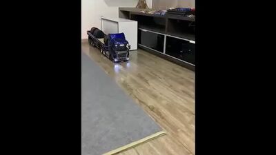 Бибика